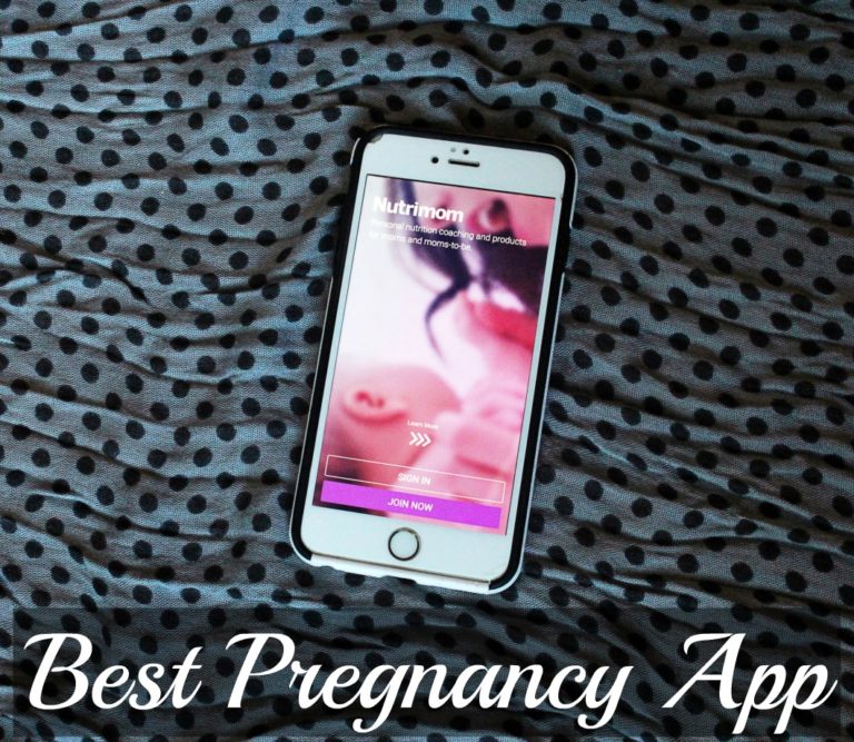 Best Pregnancy Program