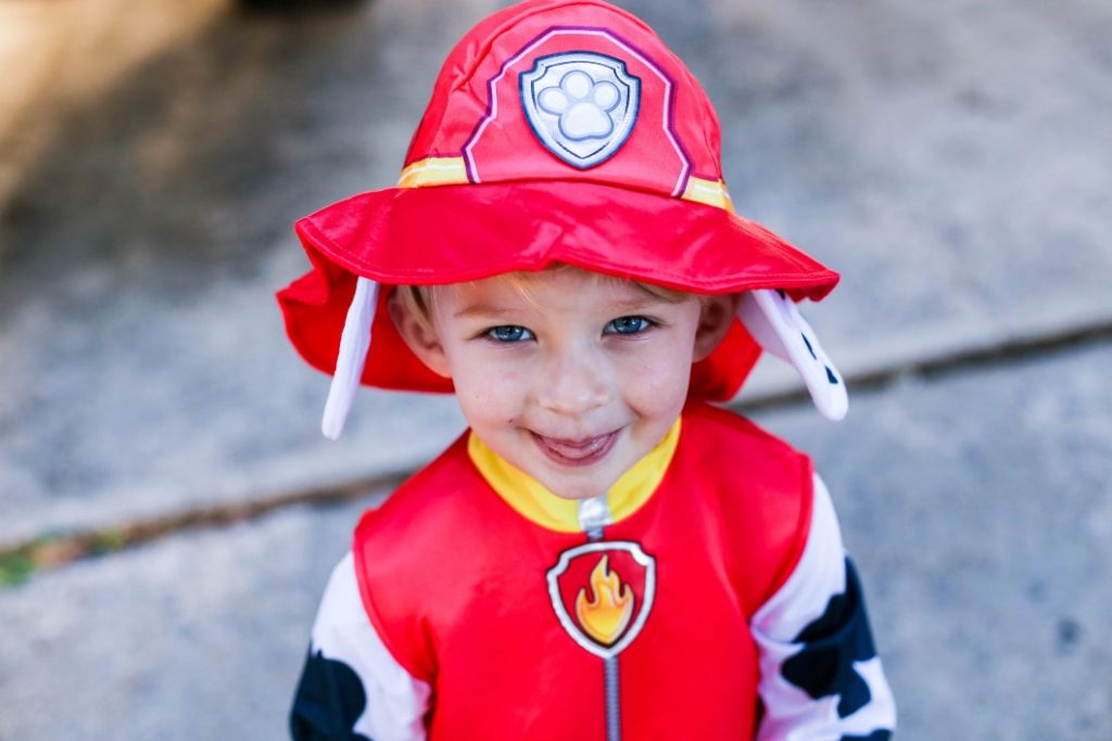 Party City Paw Patrol Cute Toddler