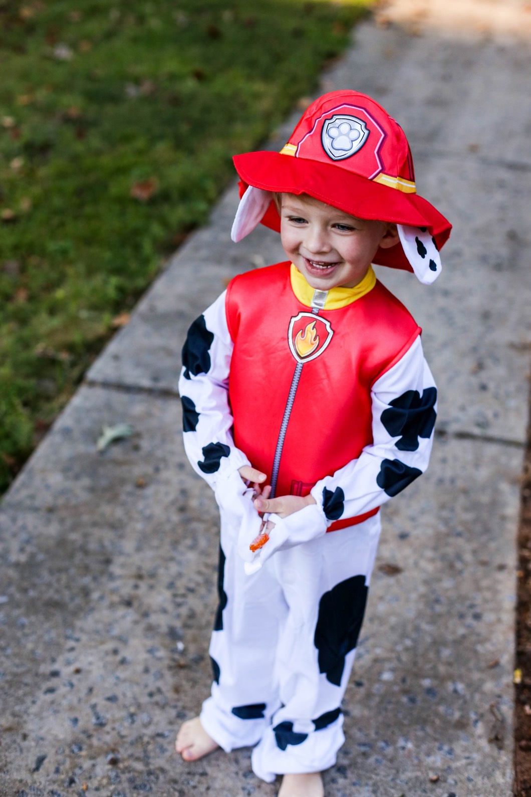 Party City Paw Patrol Cute Toddler Costume