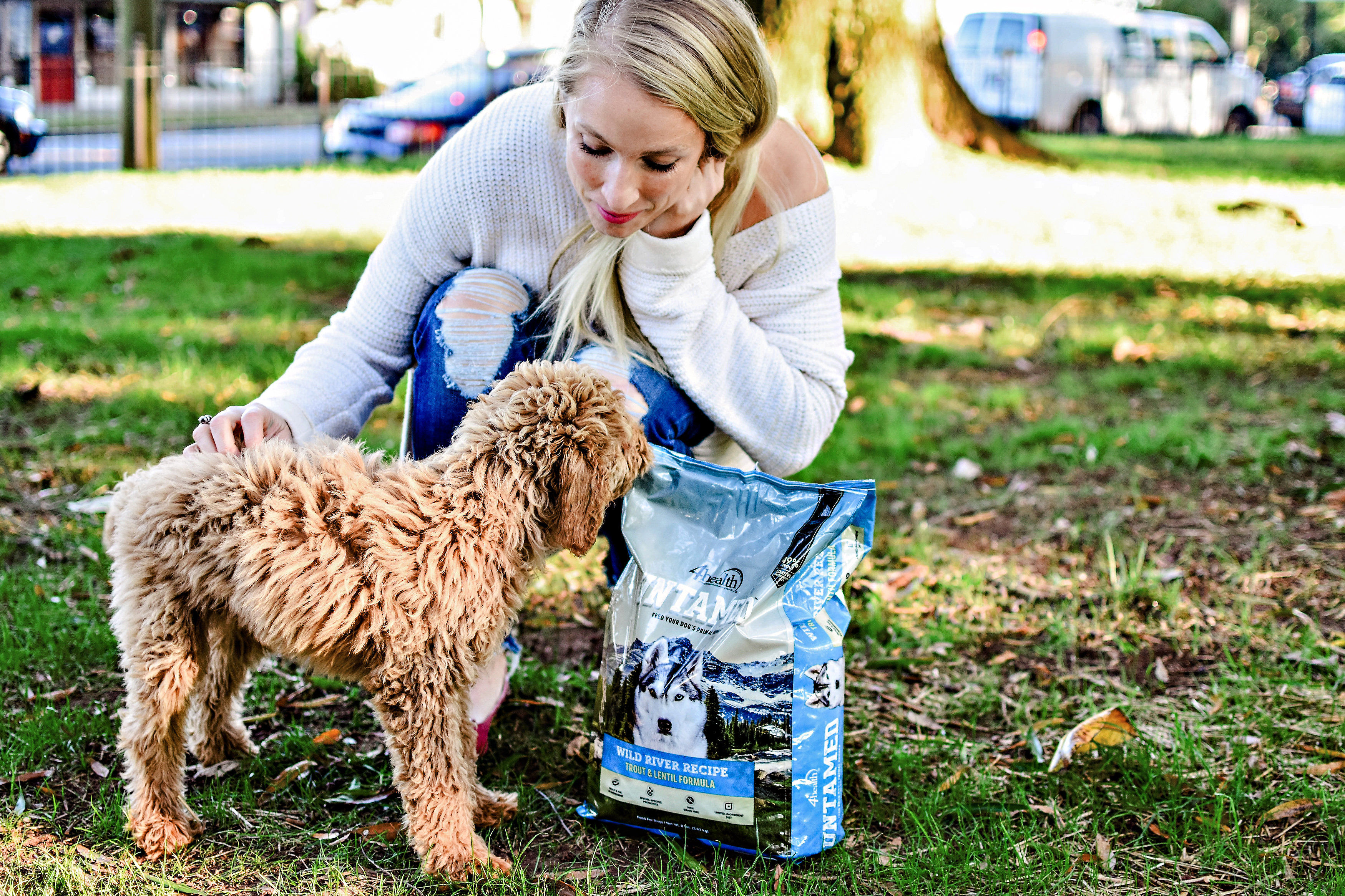 4health untamed dog store food