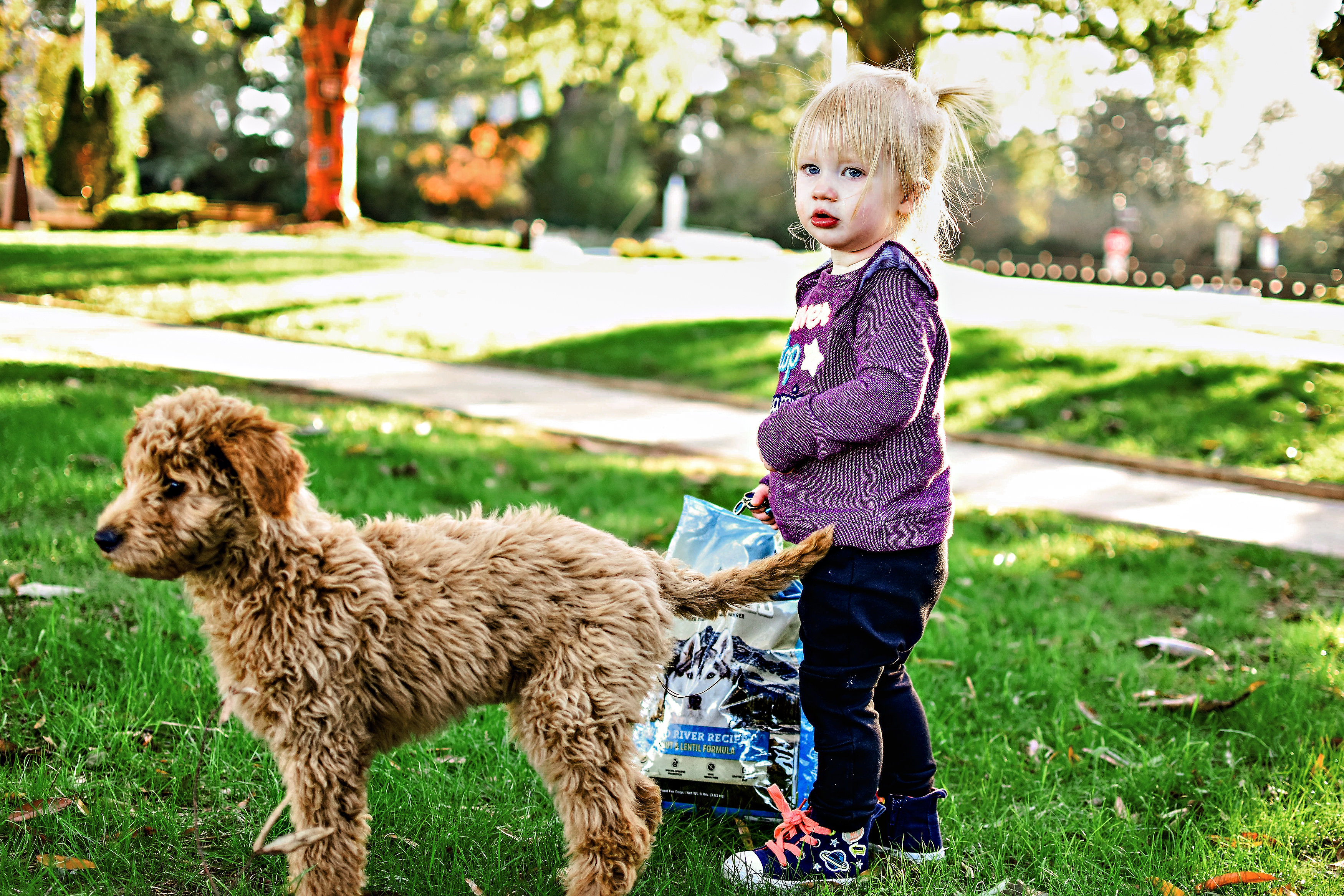 tractor supply untamed dog food